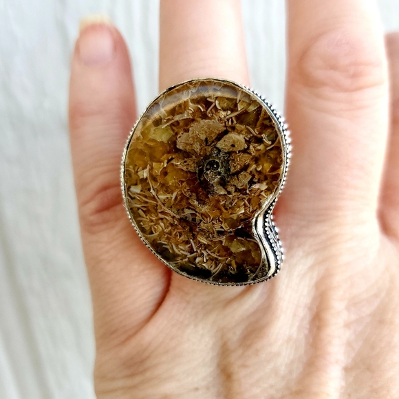 WOW New Ammonite Fossil 925 Silver Statement Ring. - Picture 5 of 8